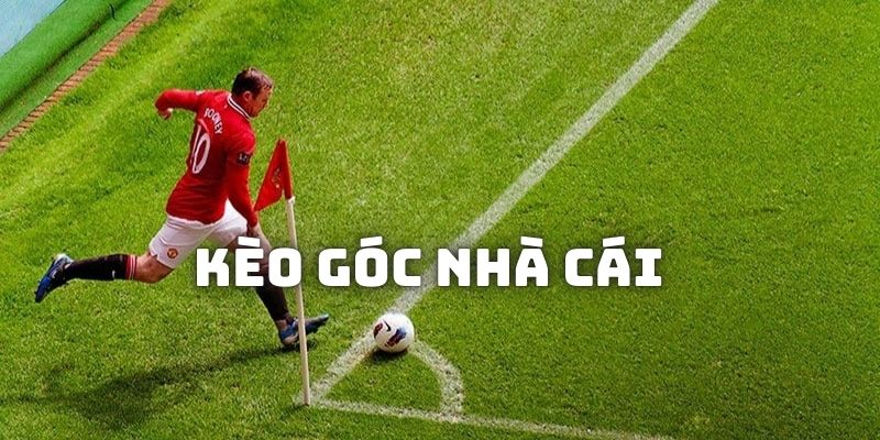 Kèo Góc Nhà Cái - Chia Sẻ Bí Kíp Đại Thắng Từ Các Chuyên Gia